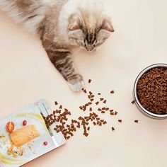 Effective Beef Flavor Pet Food Additives Enhance Pet Snacks And Prescription Food