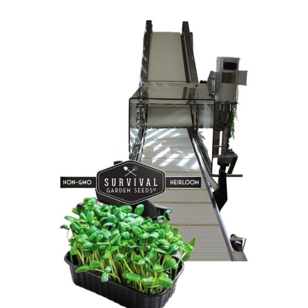 Salons de réparation de machines SS 304 Récolteuse d'épinards et de brocolis pour microgréens zéro déchet