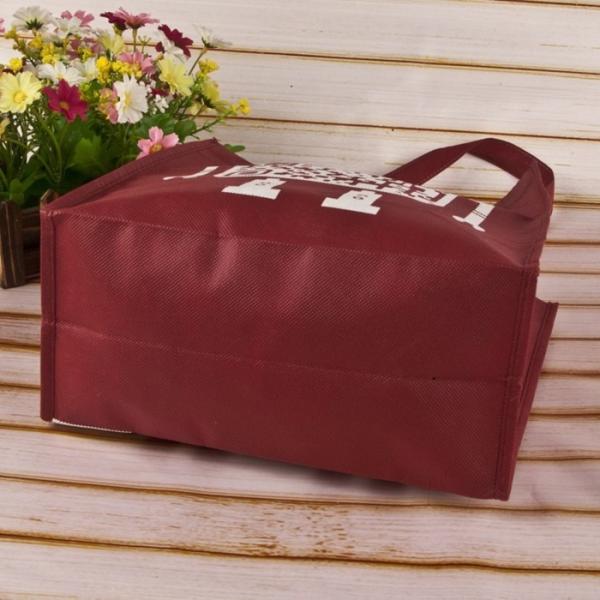 Clothes Packaging Non Woven Shopping Bag Eco Decorative Plastic Laminated