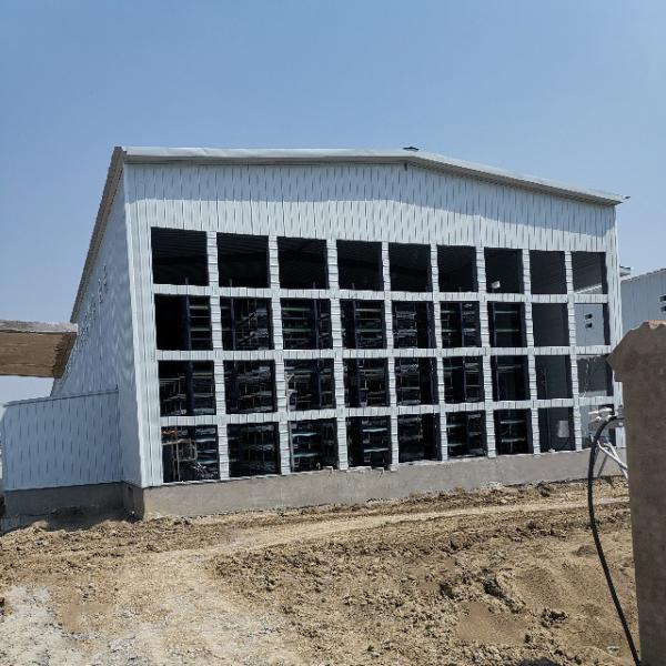 Automated Laying Hens Machines 8 Tier Chicken Layer Battery Cage Chicken Cages Hot Galvanized Egg Layer Poultry Farms