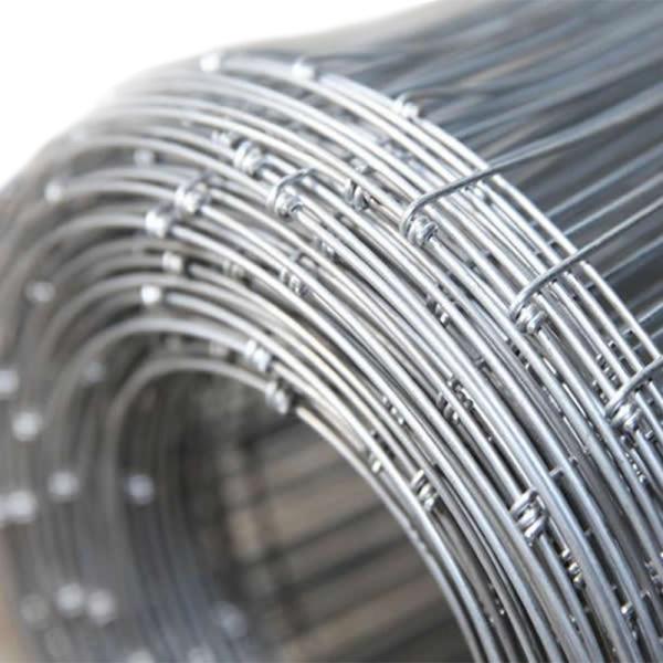 Galvanized Fixed Knot Field Fence Metal Iron White Garden Fence Aluminum Fence Low Carbon Steel Wire Main Iron Gate Designs