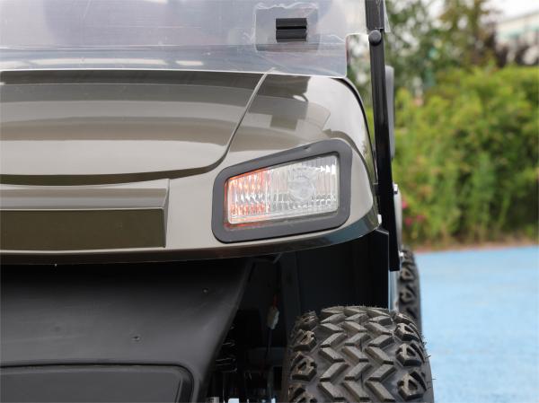 Carrinho de golfe NEV elétrico de 10 lugares Kustom com armazenamento embaixo do assento