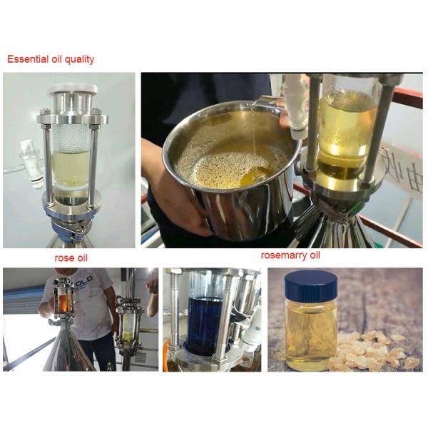 Steam Distillation Basil Essential Oil Extraction Machine for Different Capacities Portable and Removable