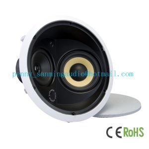 Ceiling(Wall in)Speakers