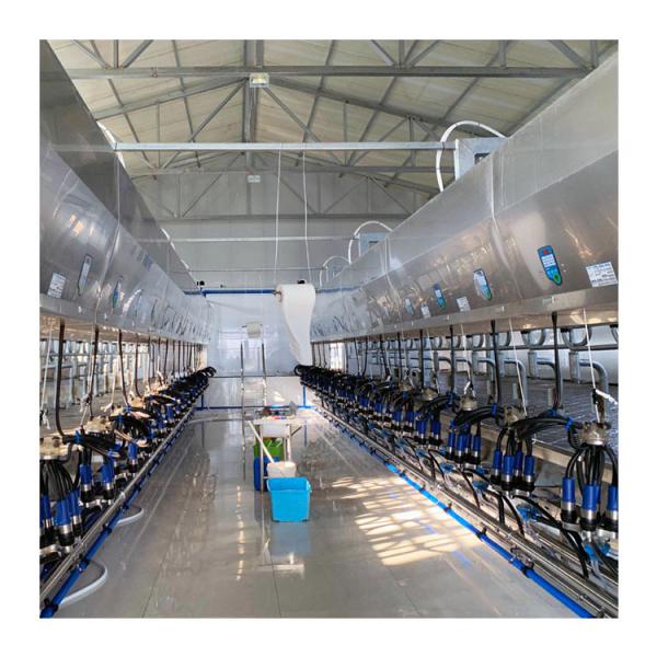 11kw Vacuum 3800L Parallel Parlor Milking Systems 128 Cows Per Hours