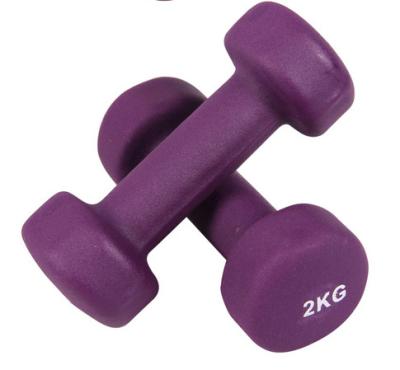 0.5kg 1g 2kg 3kg 4kg 5kg 6kg 7kg 8kg 9kg 10kg colorful Vinyl coated / round edge dumbbell / cast iron dumbbell