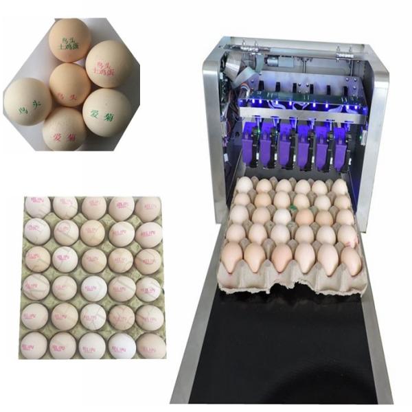 Barcode Egg Printer / Continuous Tray Egg Food Inkjet Printer Chinese Made
