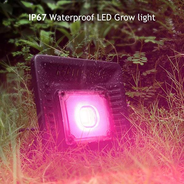 Indoor Grow Kits 200W Led flood Growth Light For Greenhouse High Bright