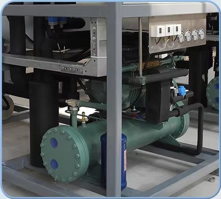 China Factory Industrial Vacuum Lyophilizer for Health Food and Pet Food Freeze Dry Machine