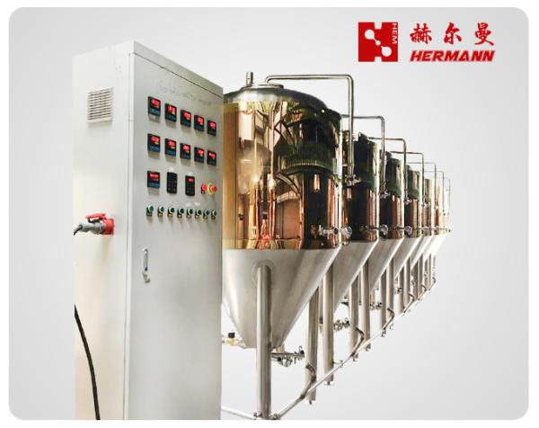 PLC Control 800L Micro Brewery Equipment With Sanitary And Efficiency Wort Pump