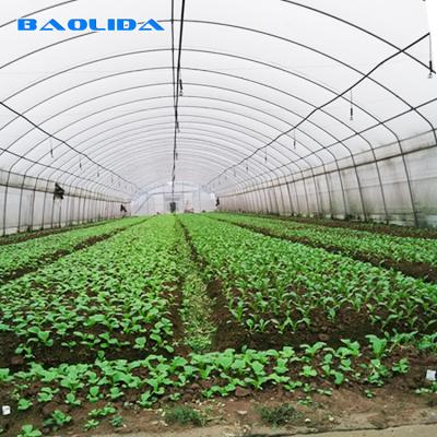 Estufa vegetal do filme de plástico do crescimento toda a estação que cresce agrícola