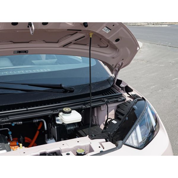 Popular Used Cars BYD Compact Car with Pure Electric Energy Type and for 30-80 Battery Fast Charging Capacity Range