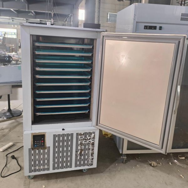 Cold Room Blast Freezer Machine 10 Trays for Meat Fish Lobster