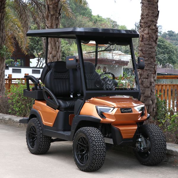 Strong and Elegant 2 Front Seats & 2 Rear Electric Golf Carts Carried 5KW Motor & 48V Lithium Battery