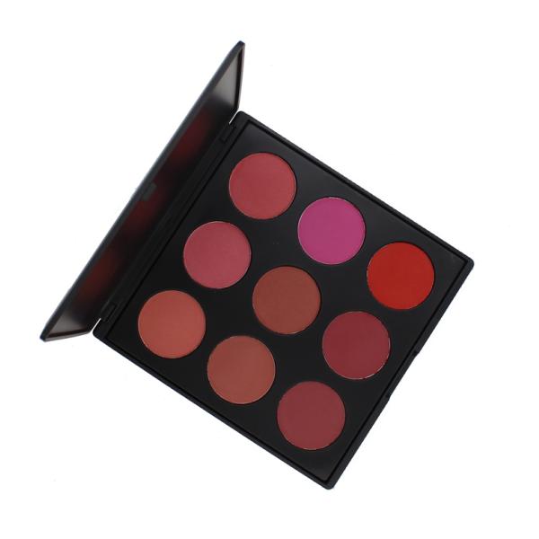 Продолжительная штейновая сливк краснеет минеральные ингредиенты с формой порошка