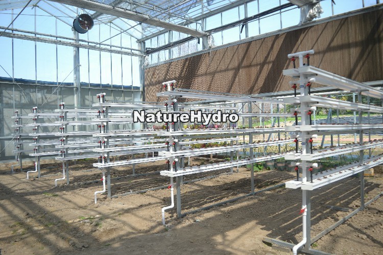 Hydroponic Nft Grow System