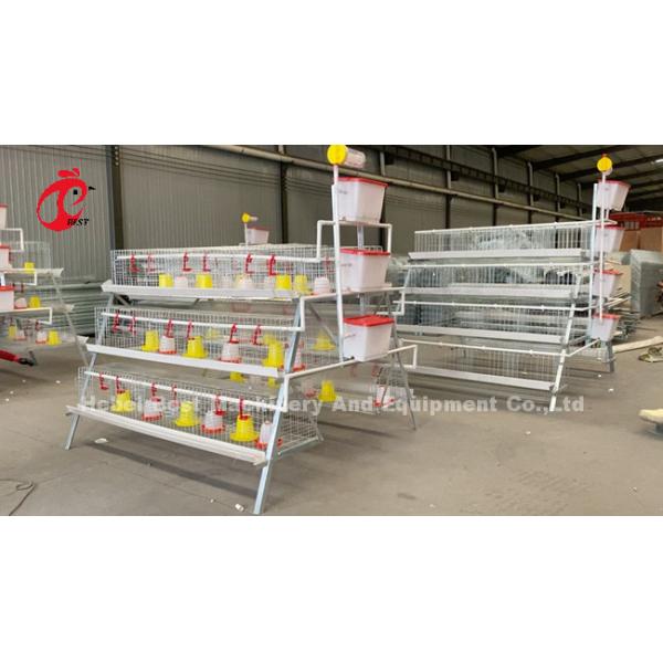 Клетка для выращивания птицы Птицефабрика Брудер Оборудование для выращивания Sandy