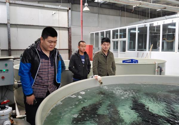 30m Diameter Recirculating Aquaculture System Fish Pond RAS Farming Aquaculture