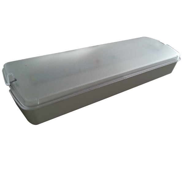 3W Maintained LED Emergency Light 220V Ni-Cd Rechargeable Battery L116M-A1