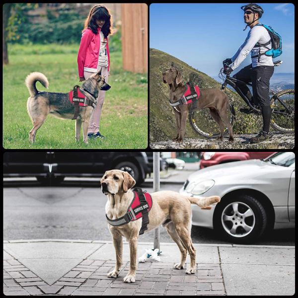 XS-XXL Nylon Pet Harness Dog Chest Harness No Pull High Visibility Dog Harness