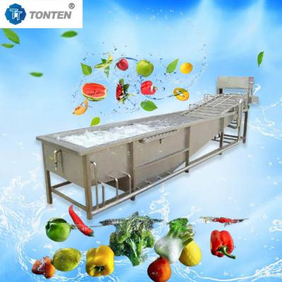 Custom Lettuce Fruit And Veg Cleaning Machine Washer 500-1000kg/hour