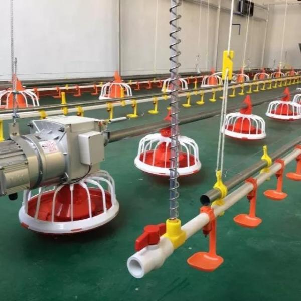 OEM Poultry Farm Equipment 30KG Automatic Poultry Feeder For Broiler