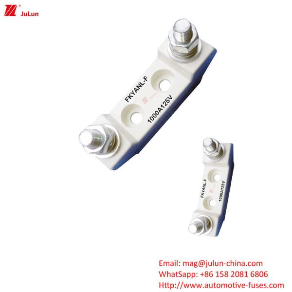 UL Standard Bipolar Automotive Spare Parts Plastic Housing Fuse / Fuse Holder Rated Voltage 125V