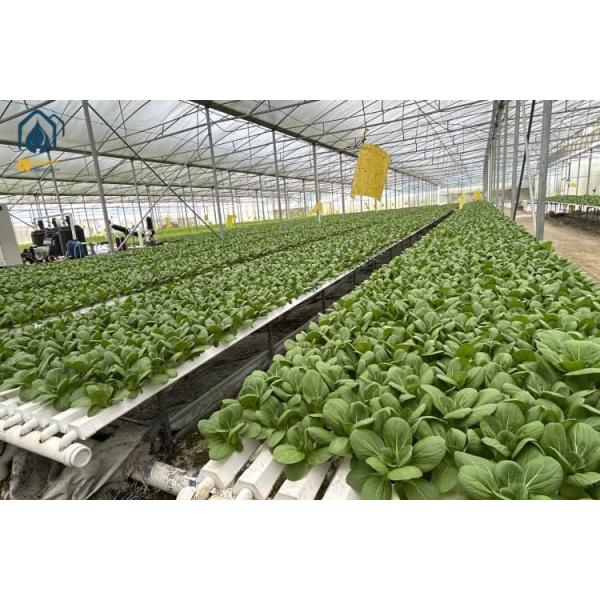 Indoor Vertical Hydroponic Farming System PVC Hydroponic Tube Systems Customized