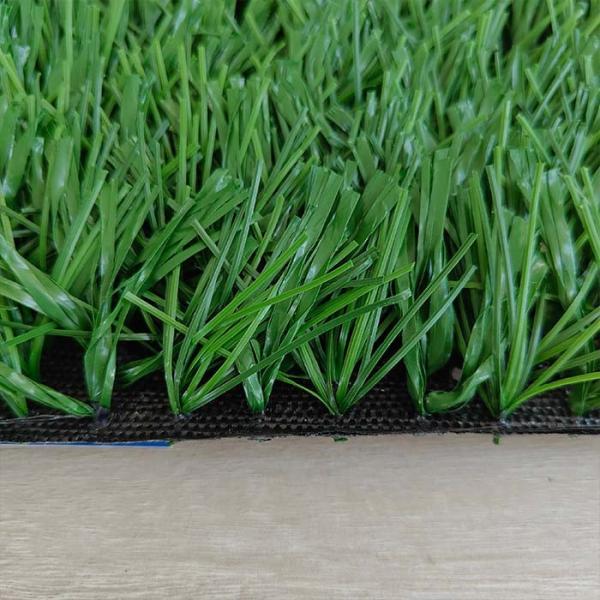 Taishan 1/2 Guage baixa manutenção futebol relva artificial é uma solução única para você.