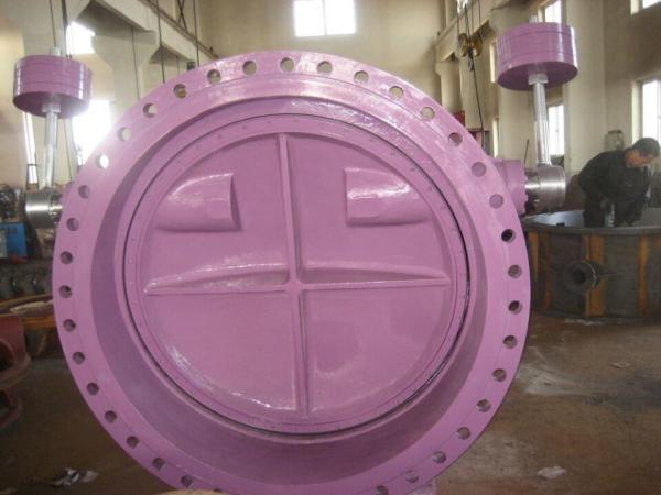 butterfly valve with hammer