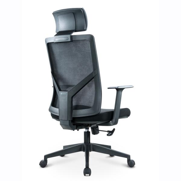 Executive Ergonomic Office Chair with Traditional Design Style and BIFMA Certificate
