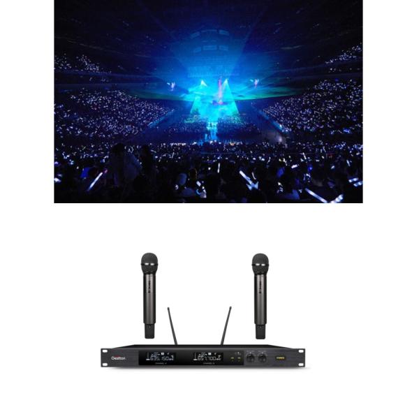 Dual Handheld Dynamic Moukey Wireless Microphone Karaoke Anti Interference 295ft