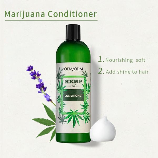 Anti Hair Loss 	Dandruff Hair Shampoo Organic Natural Hair Care