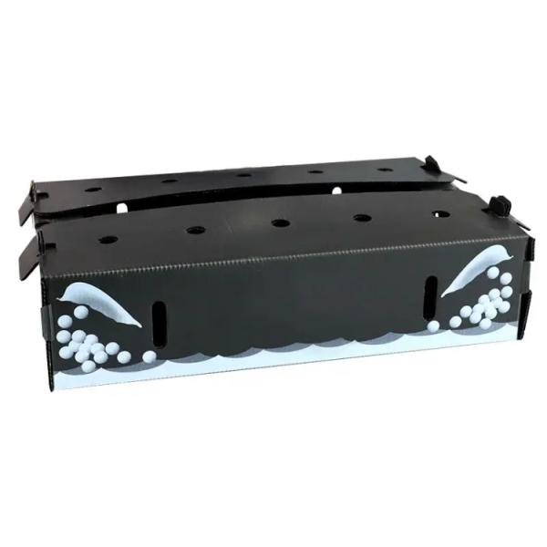 Black Corflute PP Vegetable Packaging Box For Fruits And Fish