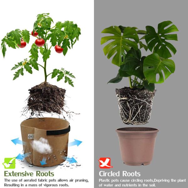 L'usine non-tissée réutilisée de poinçon d'aiguille élèvent des sacs réutilisés pour le jardin