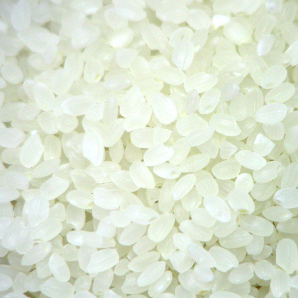 Trieuse électronique de couleurs Wenyao AI, Trieuse de graines, Trieuse de riz, Trieuse de paddy