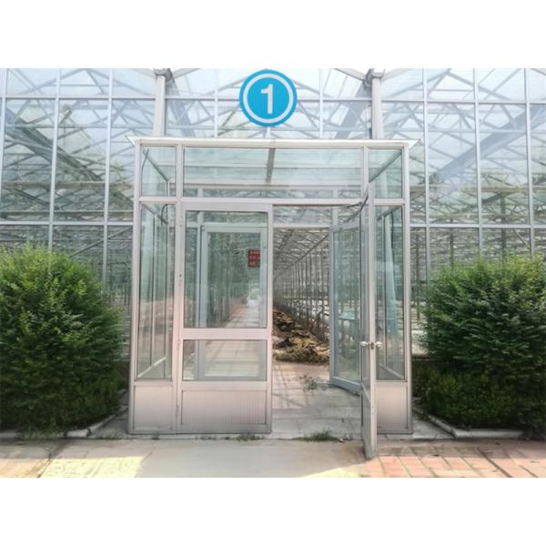 Galvanized Steel Frame Glass Covered Agriculture Greenhouse with Installation Drawing