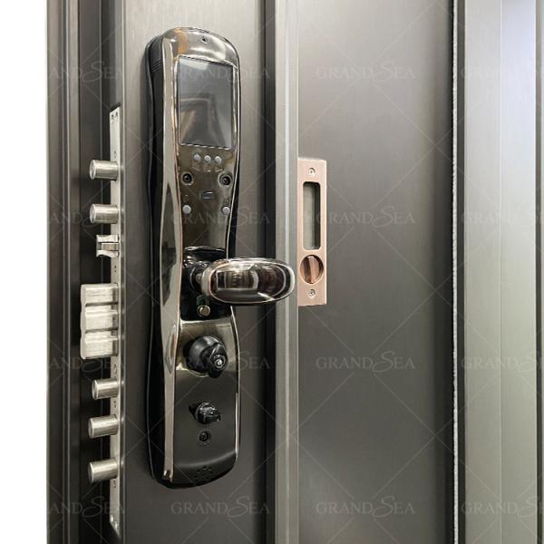 France Style  Advanced Stainless Steel Door Good Quality Superior a Class Locksystem Israel Security Door