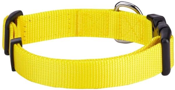 Neck 12 - 16 Soft Nylon Dog Collar Personalized Martingale Dog Collars
