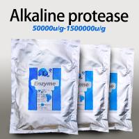 Détergent à base de protéase soluble dans l'eau 2,4 L Activité enzymatique personnalisée