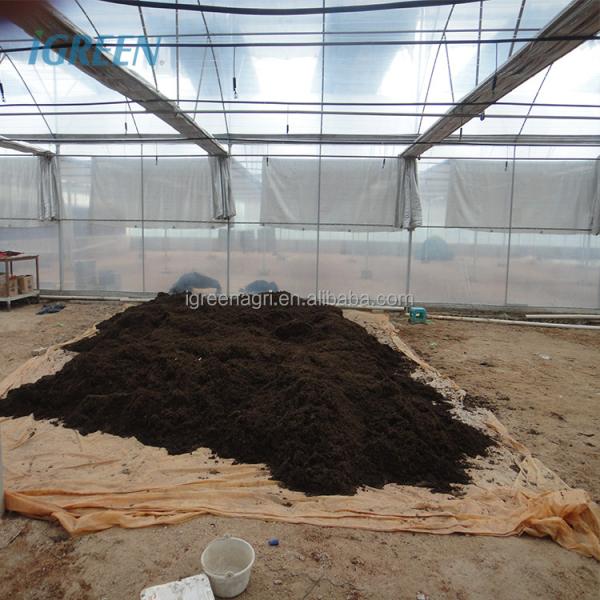 Vegetable Garden Large Greenhouse Kit 30X100 Metal Frame Large Greenhouse Kit