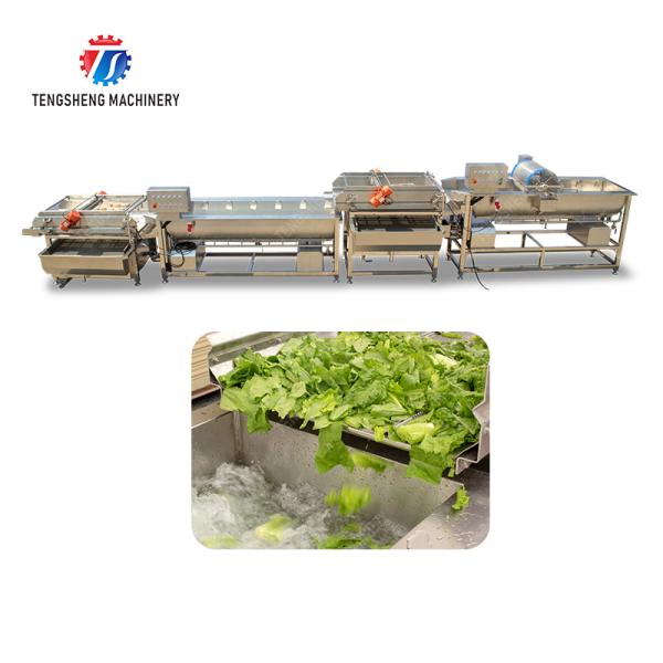 Double Vortex cleaning production lineOrange Leaves Vegetables sward beans soybeans green beans chickpeas beans  red beans mung beans green peas Fruit Vegetable FOOD processing production Machine