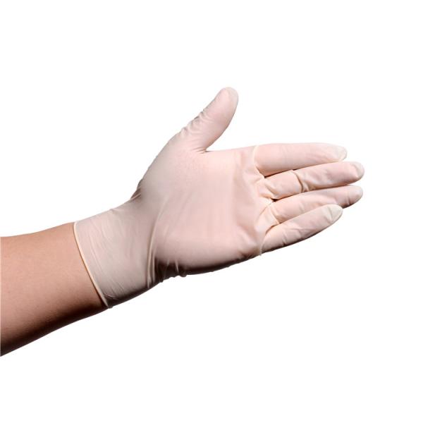 Super Stretchy Disposable Latex Glove Durable Powdered And Powder Free