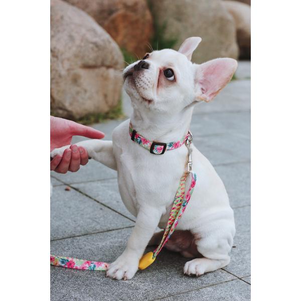 7.62m 25 Foot Nylon Anti Pull Dog Leash Around Chest Mouth Waist