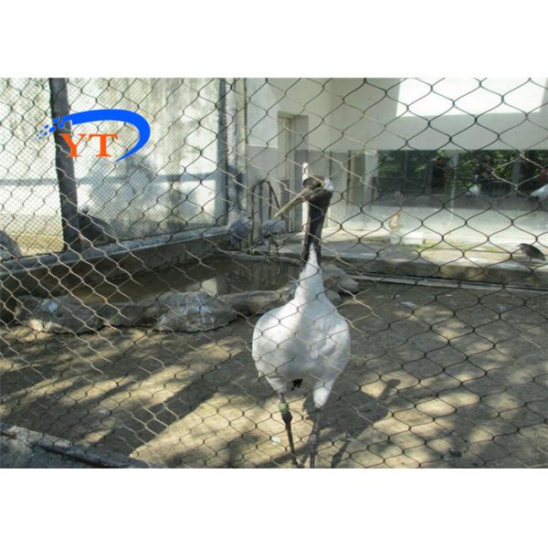 Сетка 40x40mm Aviary нержавеющей стали