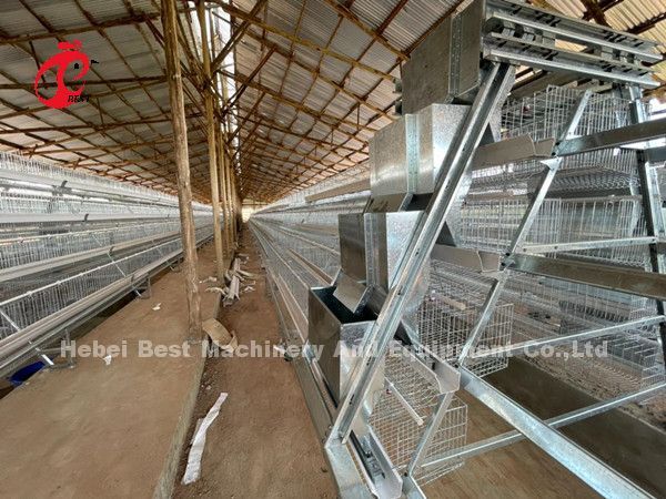 Cage de capas de aves de corral galvanizadas calientes y profundas para 20.000 aves