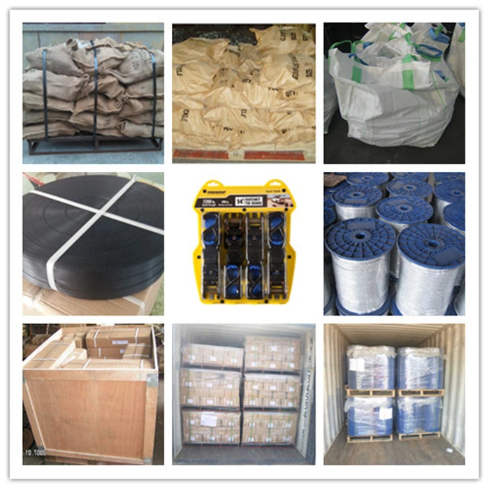 Деформирование в холодном состоянии 316/304 сережки европейца d нержавеющей стали