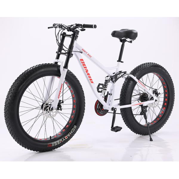 Fat tire vélo Fatbike personnalisable Croisière Neige Pleine suspension Vélo de montagne Vélo de plage Vélos à queue douce 21 vitesses