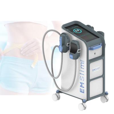 néo- rf corps de 5000W Emslim sculptant le bâtiment de muscle de la machine HIEMT