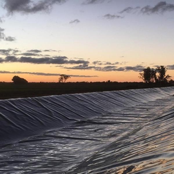 滑らかな地膜 0.3mm 0.8mm 水産物用 グラフィックデザイン能力 現代のデザイン